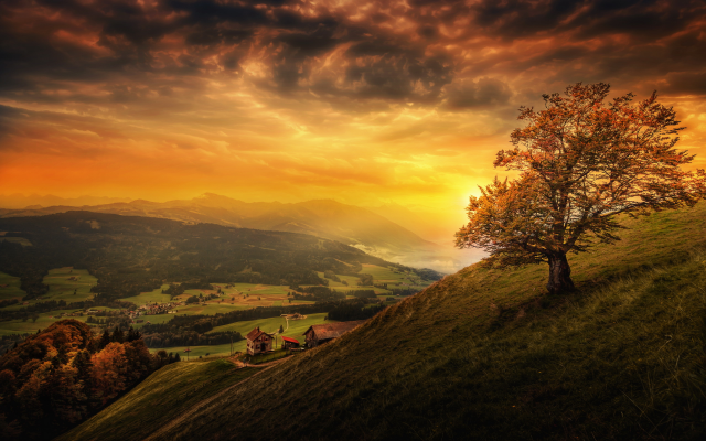 2560x1600 pix. Wallpaper sunset, mountains, tree, nature, switzerland, autumn