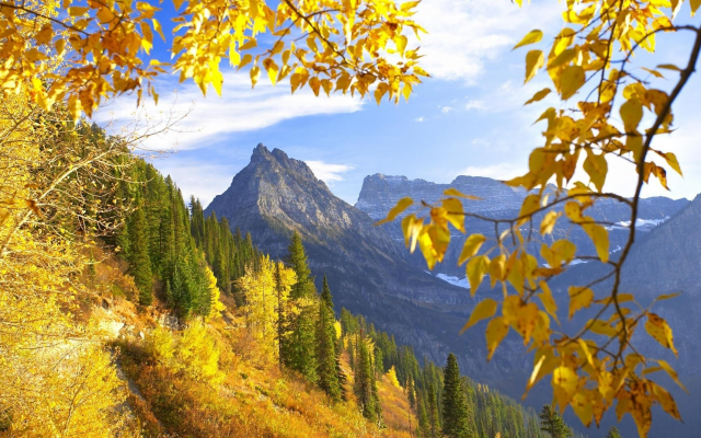 1920x1080 pix. Wallpaper nature, mountains, autumn, beautiful, leaf, forest