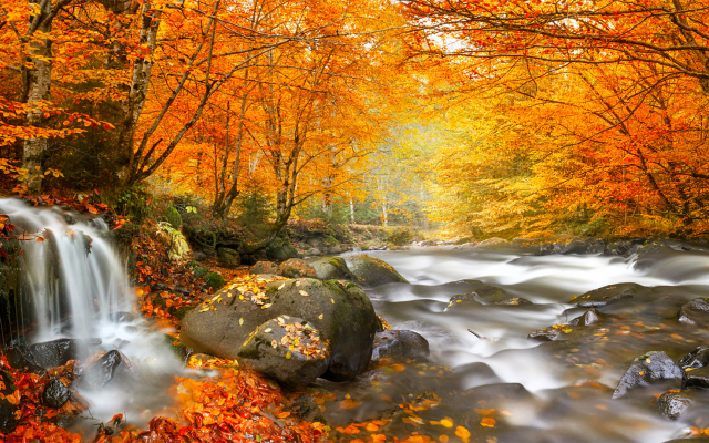 1920x1080 pix. Wallpaper nature, autumn, romania, forest, river, waterfall, tree, leaves, stones