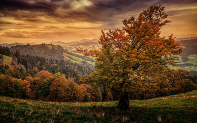 5616x3744 pix. Wallpaper switzerland, landscape, mountains, sky, autumn, tree, nature
