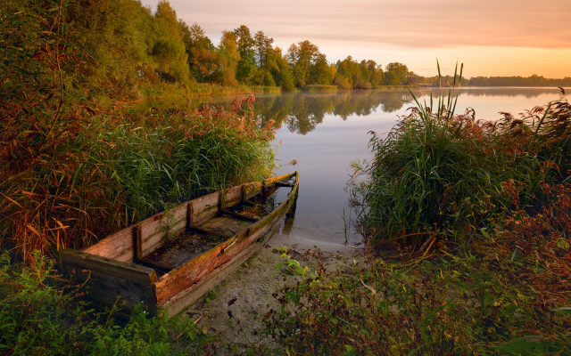 2560x1627 pix. Wallpaper lake, reeds, wood, autumn, old boat, nature