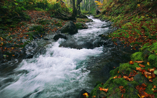 2560x1696 pix. Wallpaper fall, stream flow, sakhalin, russia, autumn, nature