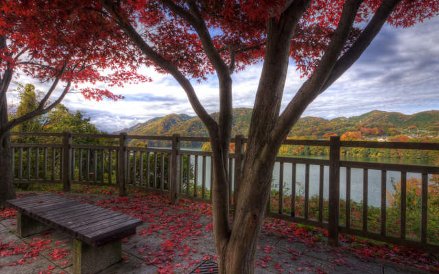1920x1080 pix. Wallpaper red leaves, bench, mountains, nature