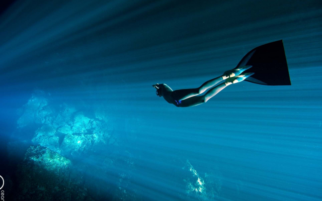1929x1350 pix. Wallpaper freediving, photo, underwater, diving, ocean, diving suit