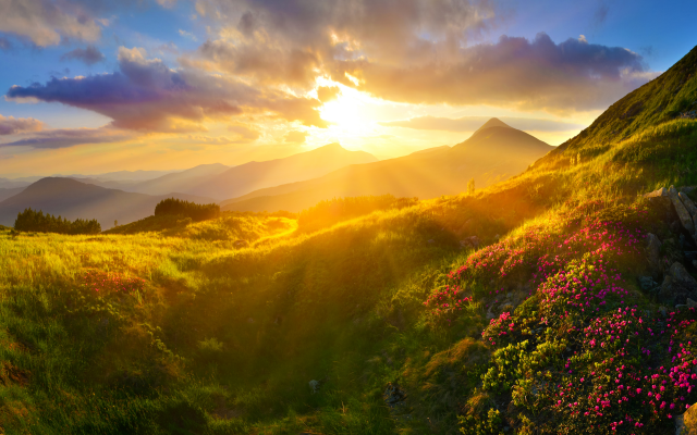 7395x4000 pix. Wallpaper rhododendron, flowers, nature, mountains, sunset, clouds