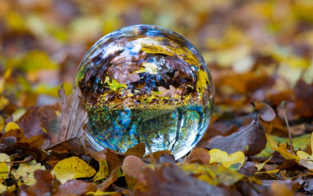 1920x1080 pix. Wallpaper ball, glass, sphere, fall, foliage, autumn, nature
