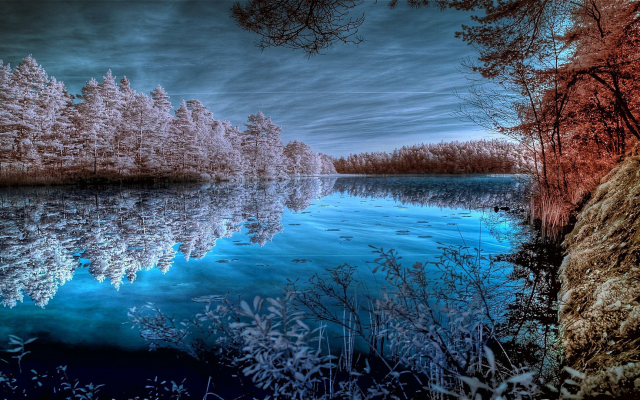 1920x1080 pix. Wallpaper forest, lake, water, tree, reflection, nature, frost