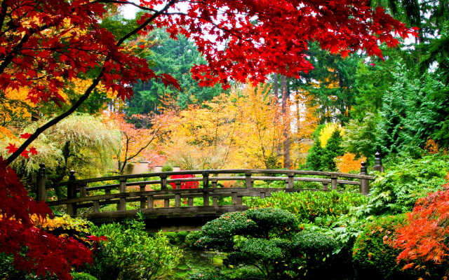 5830x3890 pix. Wallpaper leaves, autumn, bridge, tree, japan, nature