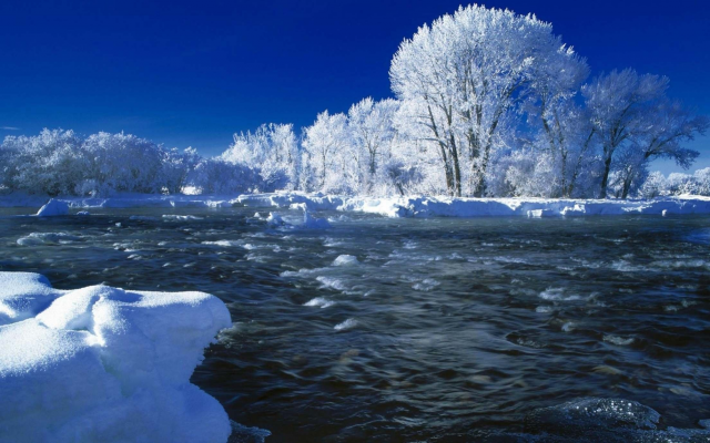 2560x1380 pix. Wallpaper winter, river, nature, snow, nature, snowy tree