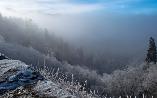 1920x1080 pix. Wallpaper winter, frost, slope, fog, forest, tree, nature, fog, mountains