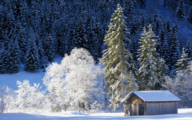 2048x1369 pix. Wallpaper nature, winter, mountains, germany, bavaria, snow, hut, forest, tree