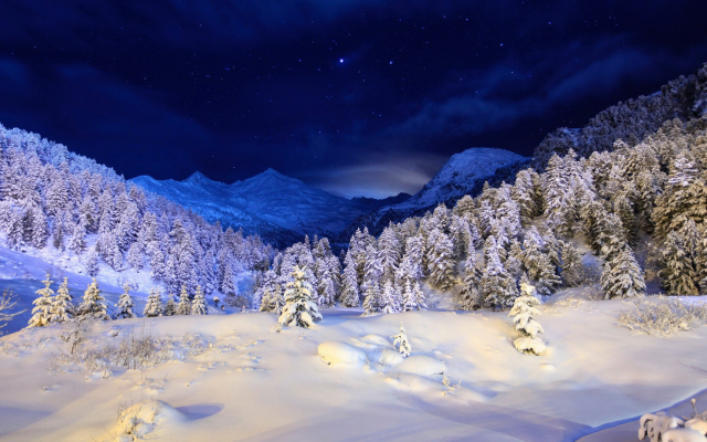 1920x1080 pix. Wallpaper snow, mountains, winter, tree, sky, night, forest