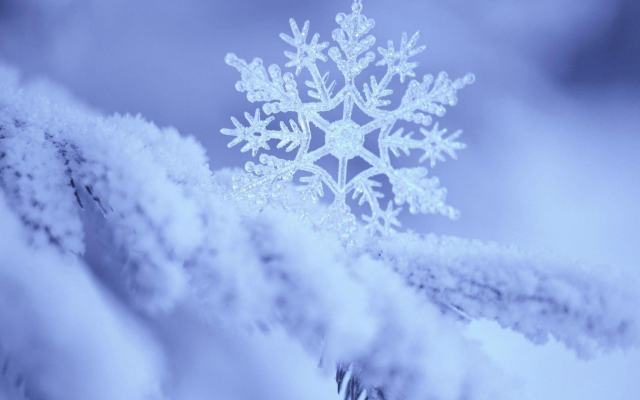 2560x1600 pix. Wallpaper snowflake, frost, macro photo, nature, snow, winter
