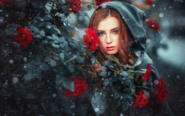 1920x1280 pix. Wallpaper girl, model, snow, rose, women, redhead, hood