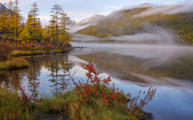 2400x1600 pix. Wallpaper lake, fog, forest, autumn, nature, reflection