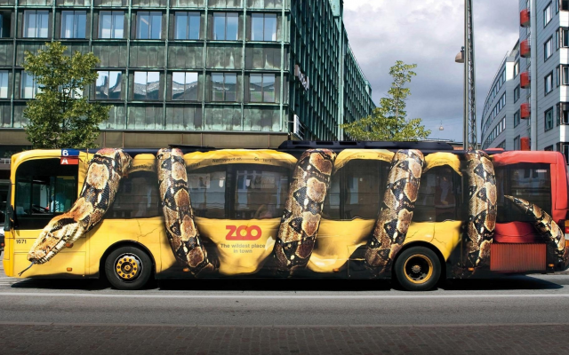 1920x1140 pix. Wallpaper photo, city, bus, graffiti, art, snake, cars