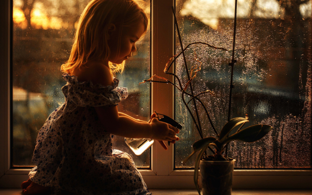 4506x3151 pix. Wallpaper girl, window, flower, light, lily, child