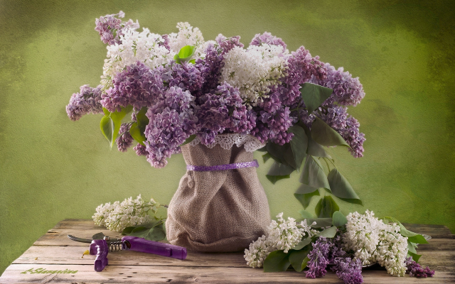 2000x1333 pix. Wallpaper bouquet, lilac, flowers, nature