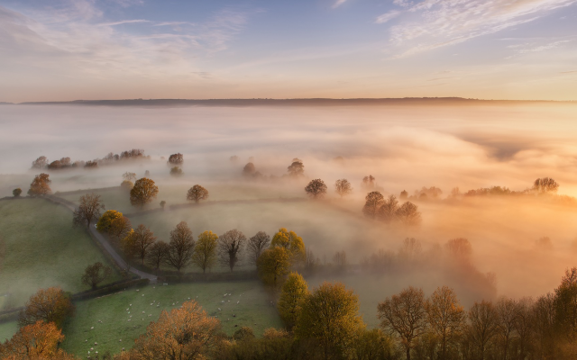 1920x1080 pix. Wallpaper fog, morning, nature, trees, fields