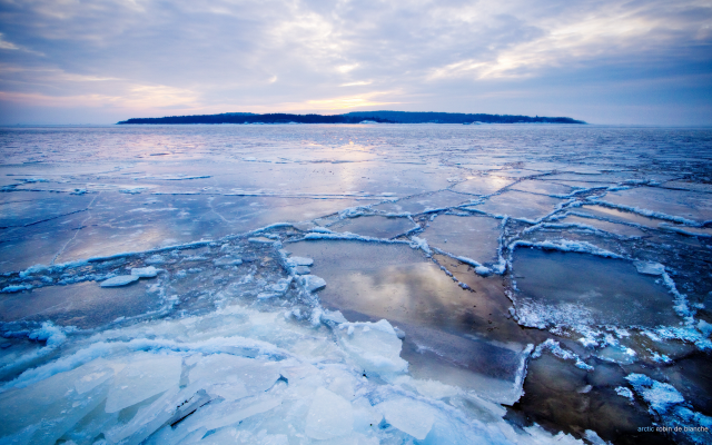 2560x1600 pix. Wallpaper ice, arctic, cold, lake, sea, nature