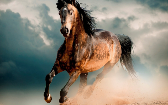 1920x1337 pix. Wallpaper horse, mustang, desert, animals