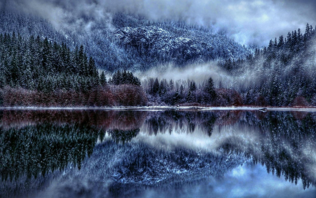 1920x1200 pix. Wallpaper tree, snow, fog, lake, reflection, nature