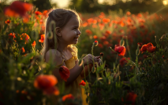 4928x3264 pix. Wallpaper girl, flowers, sun, poppies, poppy, little girl, smile