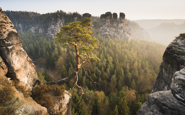 2560x1600 pix. Wallpaper cliff, nature, landscape, tree, mountains, rock, bastei, elbe sandstone mountains, germany, saxon switzerland