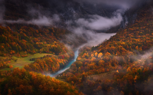 2000x1125 pix. Wallpaper tara canyon, montenegro, tara river, tara, river, autumn, forest, nature