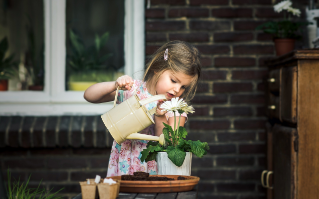 2560x1707 pix. Wallpaper child, girl, house, window, pot, flower, watering can, watering