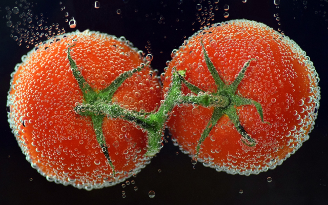 1920x1280 pix. Wallpaper tomato, water, bubbles, macro, oxygen, food