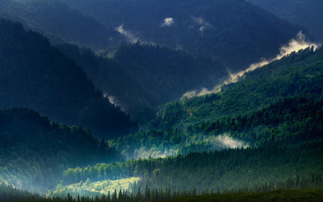 1920x1200 pix. Wallpaper landscape, nature, Carpathians, mountain, mist, forest, spring, green, trees