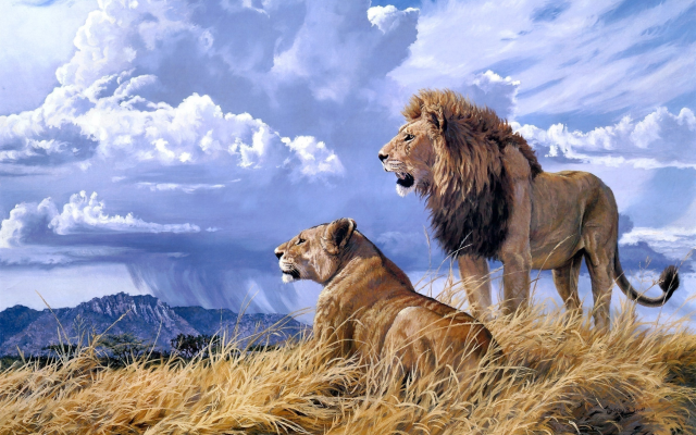 2380x1542 pix. Wallpaper lioness, lion, animals, art, clouds