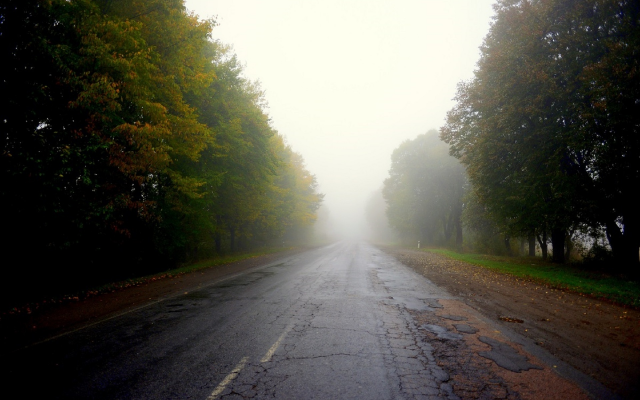 1920x1281 pix. Wallpaper road, tree, fog, horizon, nature