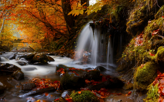 2179x1080 pix. Wallpaper donca river, romania, nature, autumn, leaves, forest, river, stream, stones, waterfall