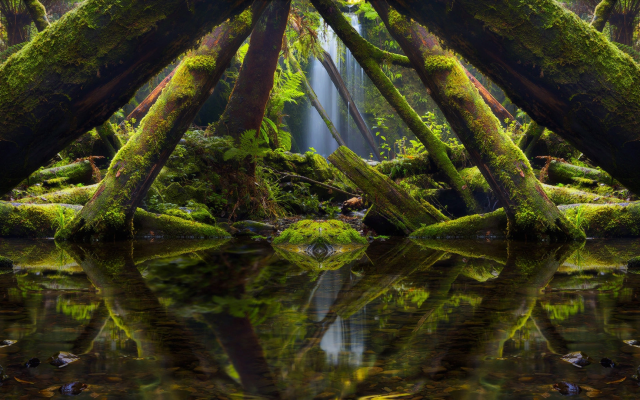 2143x1080 pix. Wallpaper nature, australia, forest, waterfall, tree, moss, reflection