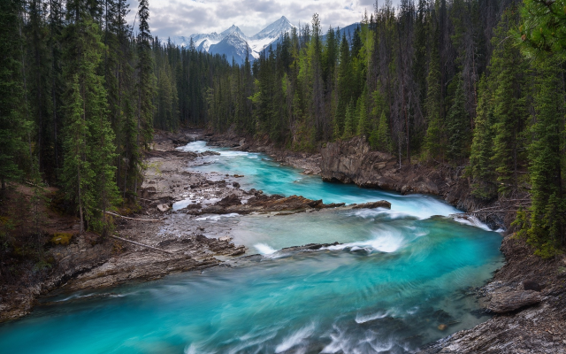 1920x1536 pix. Wallpaper yoho national park, rocky mountains, canada, mountain river, canada, forest, river, tree, nature