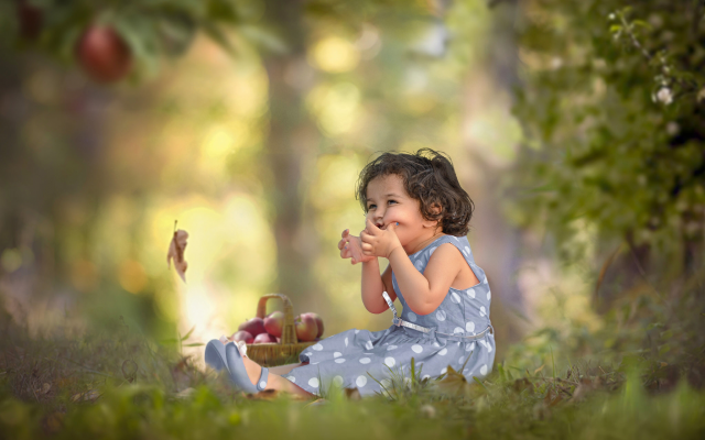 2048x1367 pix. Wallpaper girl, apple, mood, forest, branches, grass, sitting, basket, little girl, child