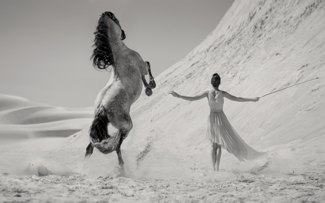 5200x3000 pix. Wallpaper women, black and white, sand, horse, dress