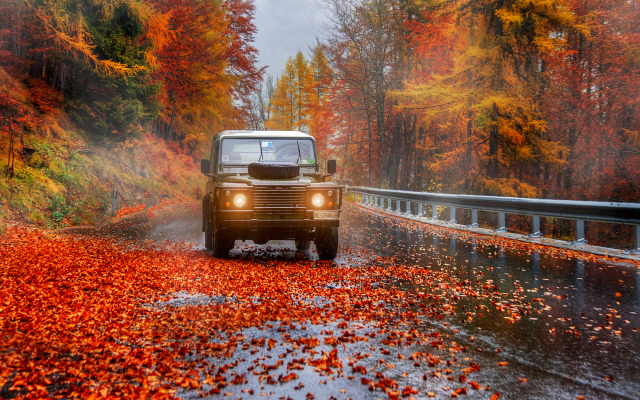 2000x1335 pix. Wallpaper autumn, nature, road, tree, leaves, fog, leaf, cars, 