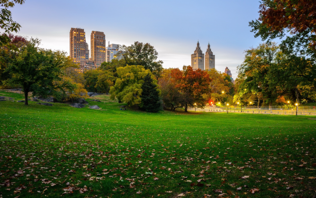 3840x2160 pix. Wallpaper central park, manhattan, new york, city, nature, park, trees, grass, leaves, leaf fall