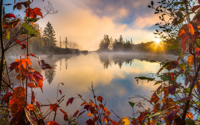 2048x1366 pix. Wallpaper nature, autumn, morning, beautiful, fog