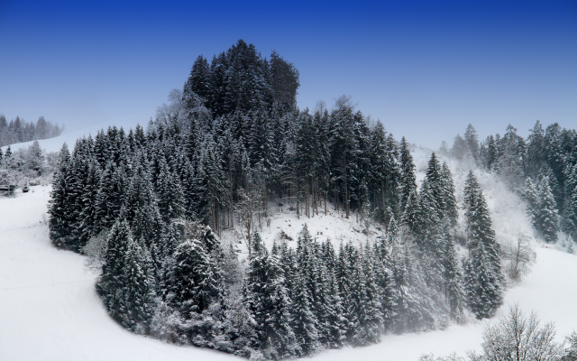 4995x3330 pix. Wallpaper hill, trees, snow, winter, forest, nature