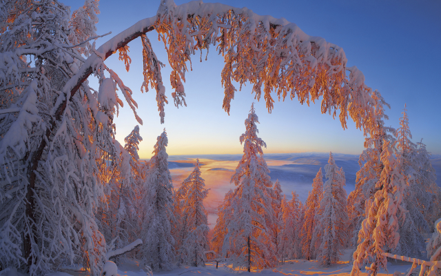 1920x1410 pix. Wallpaper nature, landscape, yakutia, russia, winter, snow, frost, trees, spruce