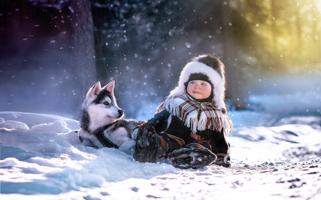 2048x1410 pix. Wallpaper boy, snow, winter forest, puppy, husky, animals, dog, winter