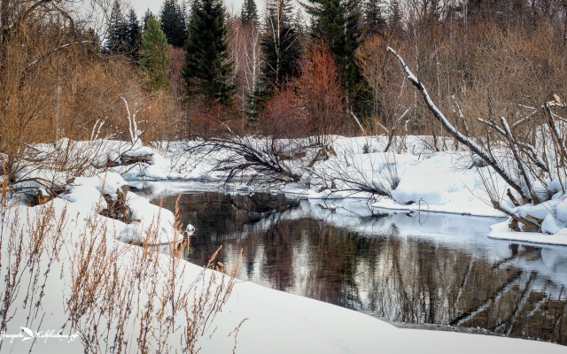 2000x1122 pix. Wallpaper snow, forest, reflection, river, askhyz, khakassia, russia, winter