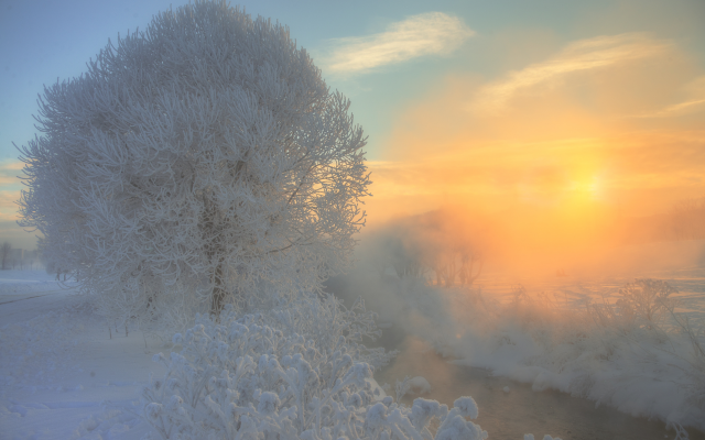 2000x1335 pix. Wallpaper nature, snow, winter, stream, tree, fog, sun