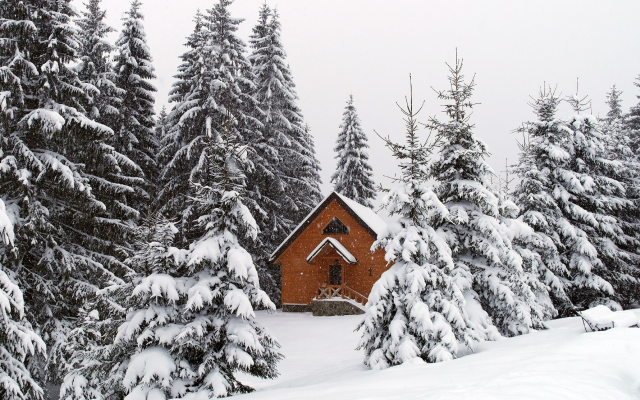 2500x1769 pix. Wallpaper nature, carpathian mountains, ukraine, winter, snow, hamlet