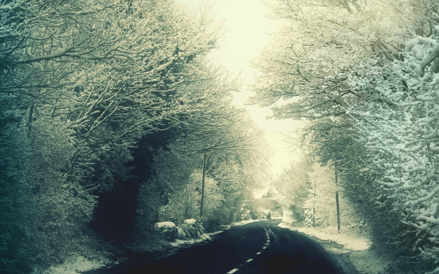 1920x1080 pix. Wallpaper winter, nature, road, snow, alley