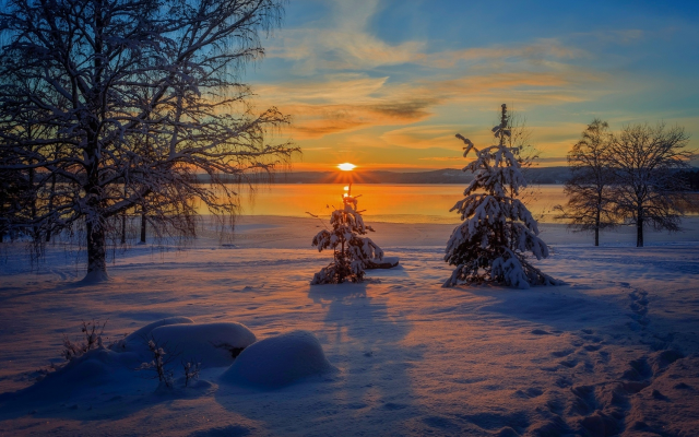 1920x1200 pix. Wallpaper sunrise, nature, winter, snow, tree